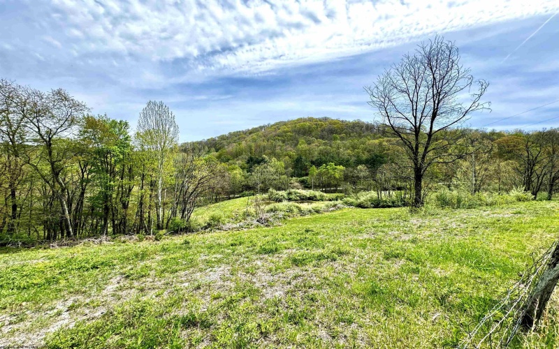 1089 Peel Tree Road, Volga, West Virginia 26238, 3 Bedrooms Bedrooms, 9 Rooms Rooms,2 BathroomsBathrooms,Single Family Detached,For Sale,Peel Tree,10153940