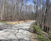 Lot 30 Woodland Drive, Beverly, West Virginia 26241, ,Lots/land,For Sale,Woodland,10153959