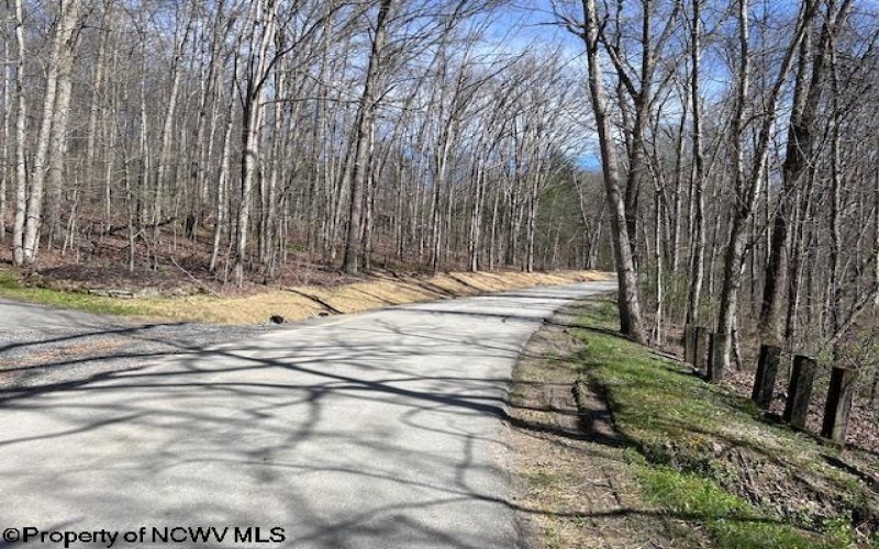 Lot 30 Woodland Drive, Beverly, West Virginia 26241, ,Lots/land,For Sale,Woodland,10153959
