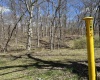0 Willow Way Road, Flemington, West Virginia 26347, ,Lots/land,For Sale,Willow Way,10153967