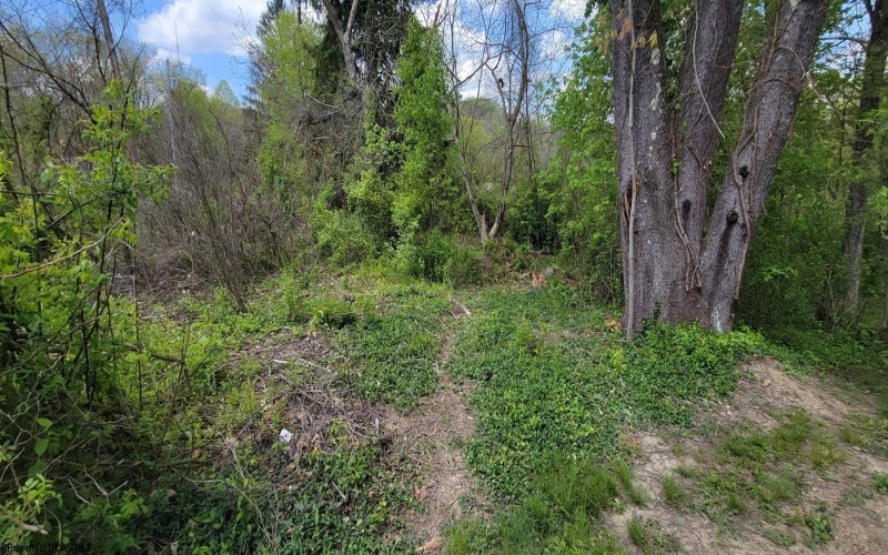 192 Wilson Avenue, Lumberport, West Virginia 26386, ,Lots/land,For Sale,Wilson,10154004