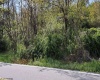 TBD Simpson Road, Simpson, West Virginia 26347, ,Lots/land,For Sale,Simpson,10154138