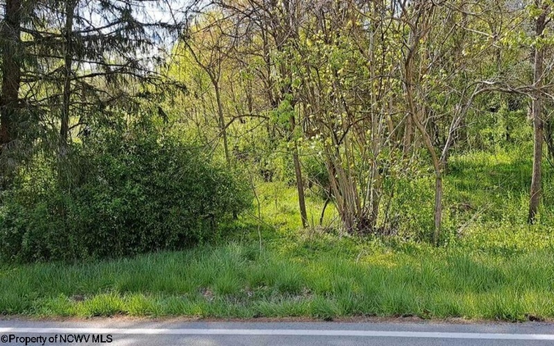 TBD Simpson Road, Simpson, West Virginia 26347, ,Lots/land,For Sale,Simpson,10154138