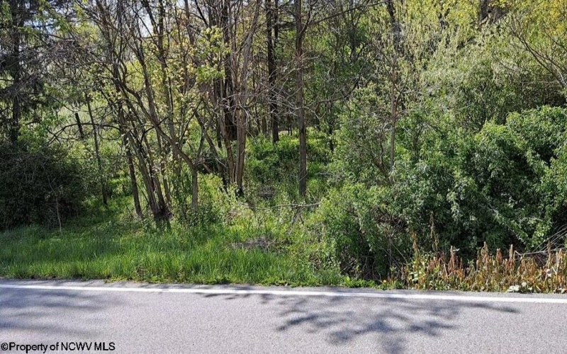 TBD Simpson Road, Simpson, West Virginia 26347, ,Lots/land,For Sale,Simpson,10154138