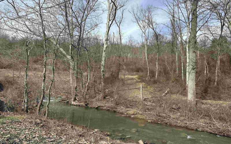 0 Dents Run Road, Westover, West Virginia 26501, ,Lots/land,For Sale,Dents Run,10154174