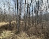 00 Stonehurst Drive, Morgantown, West Virginia 26501, ,Lots/land,For Sale,Stonehurst,10154183