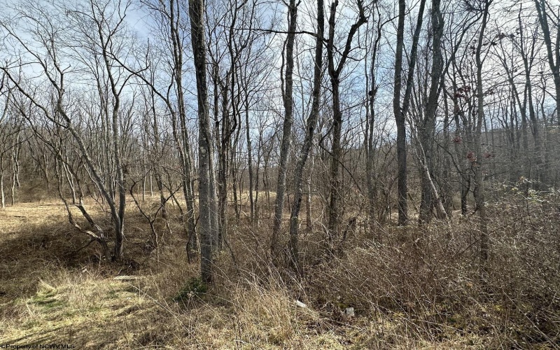 00 Stonehurst Drive, Morgantown, West Virginia 26501, ,Lots/land,For Sale,Stonehurst,10154183