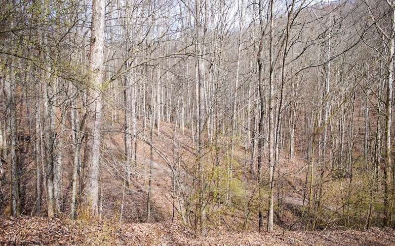 TBD Fern Drive, Weston, West Virginia 26452, ,Lots/land,For Sale,Fern,10148147