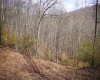 TBD Fern Drive, Weston, West Virginia 26452, ,Lots/land,For Sale,Fern,10148147