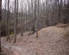 TBD Fern Drive, Weston, West Virginia 26452, ,Lots/land,For Sale,Fern,10148147