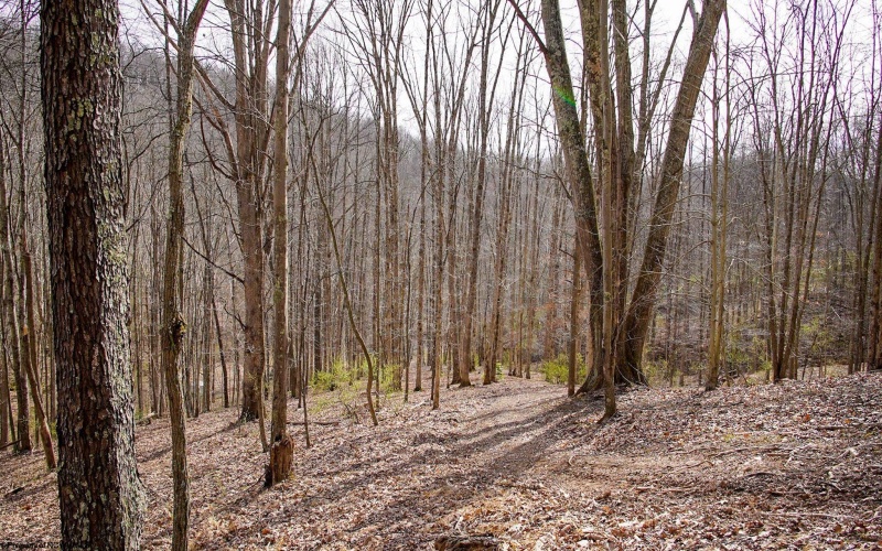 TBD Fern Drive, Weston, West Virginia 26452, ,Lots/land,For Sale,Fern,10148147