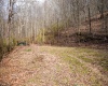 TBD Fern Drive, Weston, West Virginia 26452, ,Lots/land,For Sale,Fern,10148147