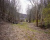 TBD Fern Drive, Weston, West Virginia 26452, ,Lots/land,For Sale,Fern,10148147