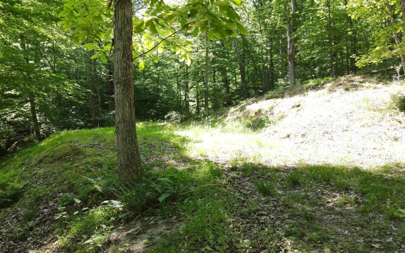 TBD Fern Drive, Weston, West Virginia 26452, ,Lots/land,For Sale,Fern,10148147