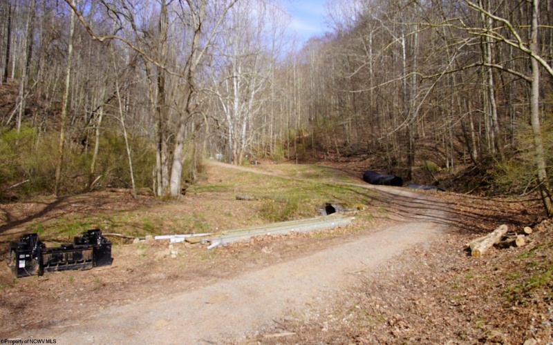 TBD Fern Drive, Weston, West Virginia 26452, ,Lots/land,For Sale,Fern,10148147