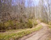 TBD Fern Drive, Weston, West Virginia 26452, ,Lots/land,For Sale,Fern,10148147