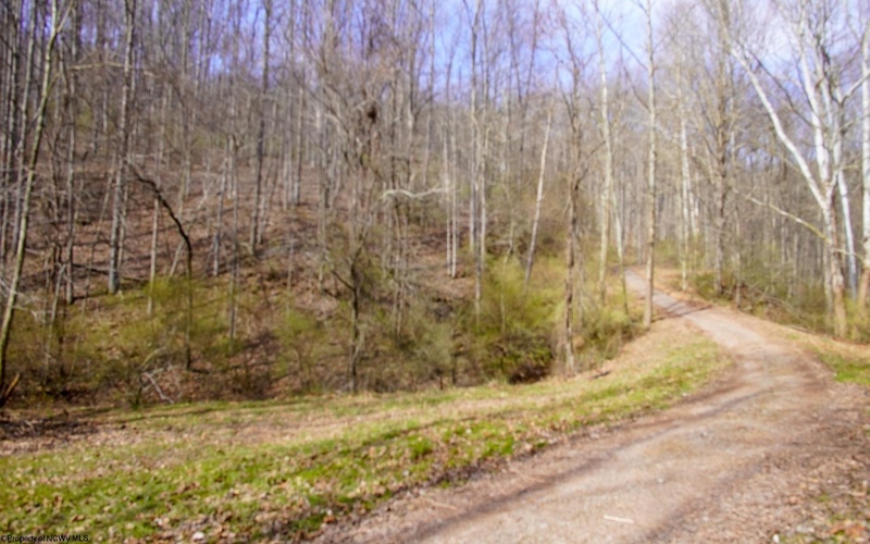 TBD Fern Drive, Weston, West Virginia 26452, ,Lots/land,For Sale,Fern,10148147