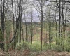TBD Jarrett Drive, Buckhannon, West Virginia 26201, ,Lots/land,For Sale,Jarrett,10154204