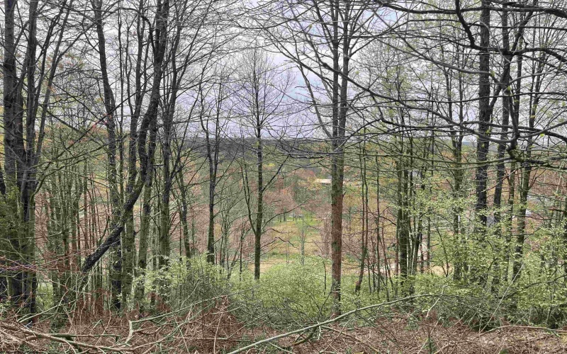 TBD Jarrett Drive, Buckhannon, West Virginia 26201, ,Lots/land,For Sale,Jarrett,10154204