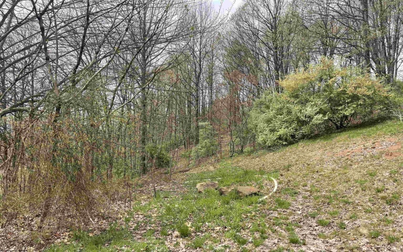 TBD Jarrett Drive, Buckhannon, West Virginia 26201, ,Lots/land,For Sale,Jarrett,10154204