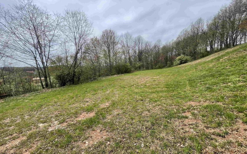 TBD Jarrett Drive, Buckhannon, West Virginia 26201, ,Lots/land,For Sale,Jarrett,10154204