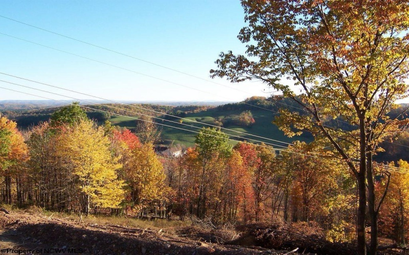 TBD Jarrett Drive, Buckhannon, West Virginia 26201, ,Lots/land,For Sale,Jarrett,10154204