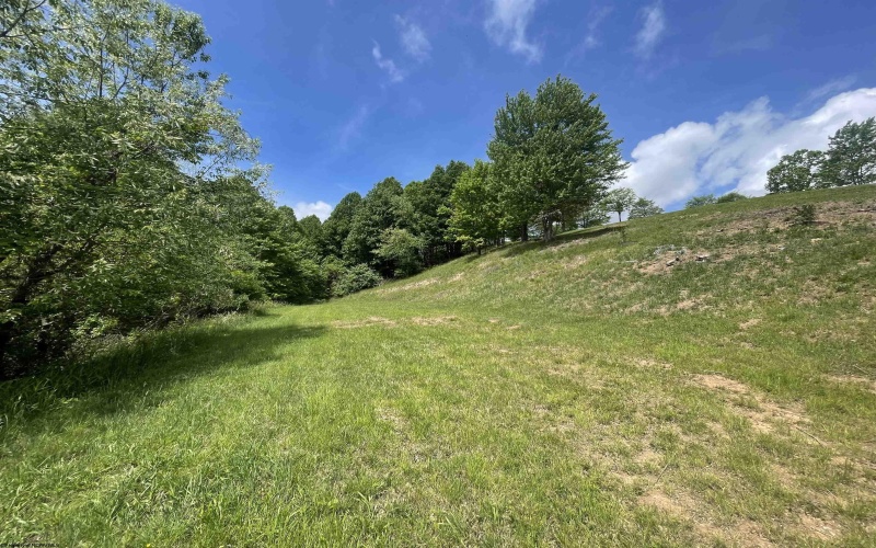 TBD Jarrett Drive, Buckhannon, West Virginia 26201, ,Lots/land,For Sale,Jarrett,10154204