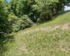 TBD Jarrett Drive, Buckhannon, West Virginia 26201, ,Lots/land,For Sale,Jarrett,10154204