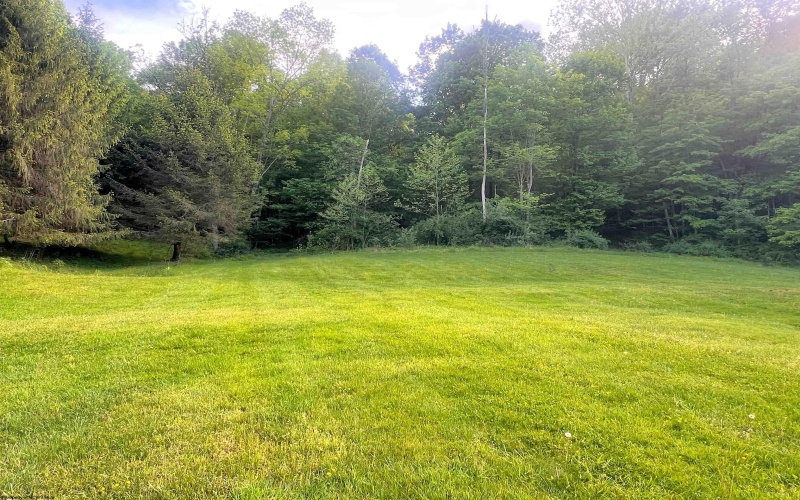 907 BOYCE Road, Grafton, West Virginia 26354, ,Lots/land,For Sale,BOYCE,10154224