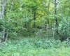 907 BOYCE Road, Grafton, West Virginia 26354, ,Lots/land,For Sale,BOYCE,10154224