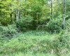 907 BOYCE Road, Grafton, West Virginia 26354, ,Lots/land,For Sale,BOYCE,10154224