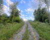 TBD FLAG RUN Road, Grafton, West Virginia 26354, ,Lots/land,For Sale,FLAG RUN,10154232