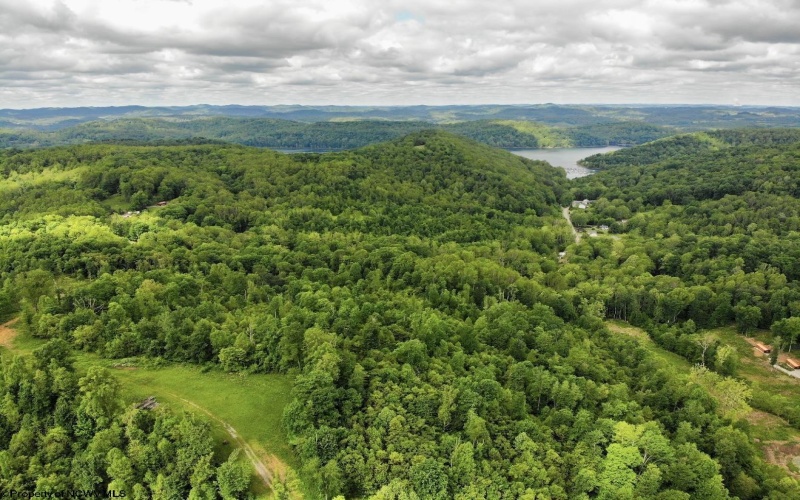 TBD FLAG RUN Road, Grafton, West Virginia 26354, ,Lots/land,For Sale,FLAG RUN,10154232