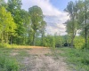 TBD FLAG RUN Road, Grafton, West Virginia 26354, ,Lots/land,For Sale,FLAG RUN,10154232