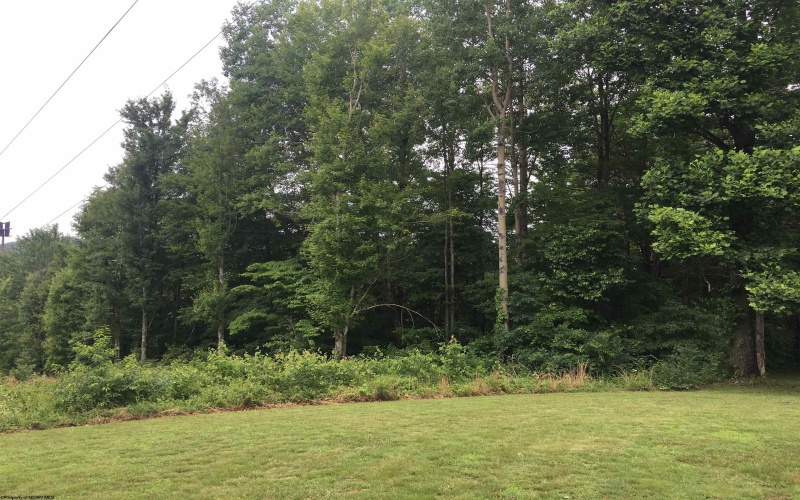 455 Wades Run Road, Morgantown, West Virginia 26501, ,Lots/land,For Sale,Wades Run,10152172