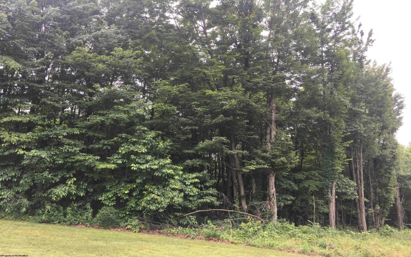 455 Wades Run Road, Morgantown, West Virginia 26501, ,Lots/land,For Sale,Wades Run,10152172