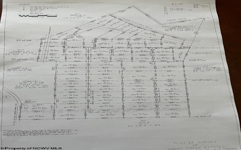 Lots 20 and 21 Snowy Creek Street, Terra Alta, West Virginia 26764, ,Lots/land,For Sale,Snowy Creek,10154383