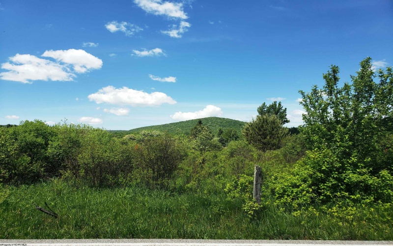 215 Courtland Road, Davis, West Virginia 26260, ,Lots/land,For Sale,Courtland,10154416