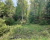 Lot 96 Gondola Court, Davis, West Virginia 26260, ,Lots/land,For Sale,Gondola,10154433