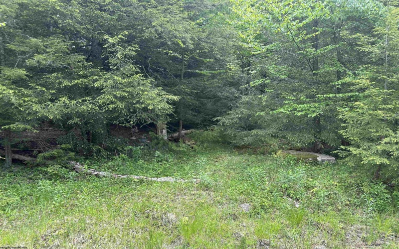 Lot 96 Gondola Court, Davis, West Virginia 26260, ,Lots/land,For Sale,Gondola,10154433