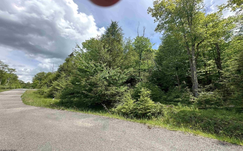 Lot 96 Gondola Court, Davis, West Virginia 26260, ,Lots/land,For Sale,Gondola,10154433