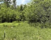 Lot 98 Canal Street, Davis, West Virginia 26260, ,Lots/land,For Sale,Canal,10154434