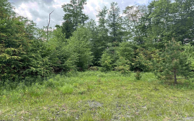 Lot 98 Canal Street, Davis, West Virginia 26260, ,Lots/land,For Sale,Canal,10154434