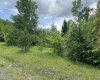 Lot 98 Canal Street, Davis, West Virginia 26260, ,Lots/land,For Sale,Canal,10154434