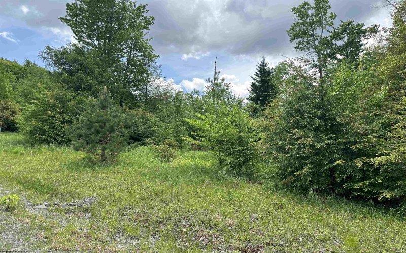 Lot 98 Canal Street, Davis, West Virginia 26260, ,Lots/land,For Sale,Canal,10154434