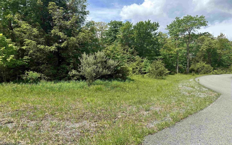 Lot 98 Canal Street, Davis, West Virginia 26260, ,Lots/land,For Sale,Canal,10154434