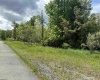 Lot 98 Canal Street, Davis, West Virginia 26260, ,Lots/land,For Sale,Canal,10154434