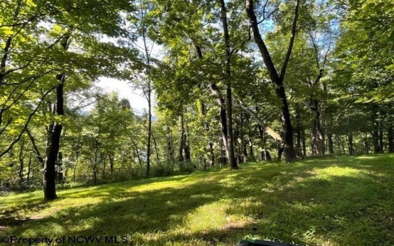 0 Pierpont Road, Morgantown, West Virginia 26508, ,Lots/land,For Sale,Pierpont,10154436