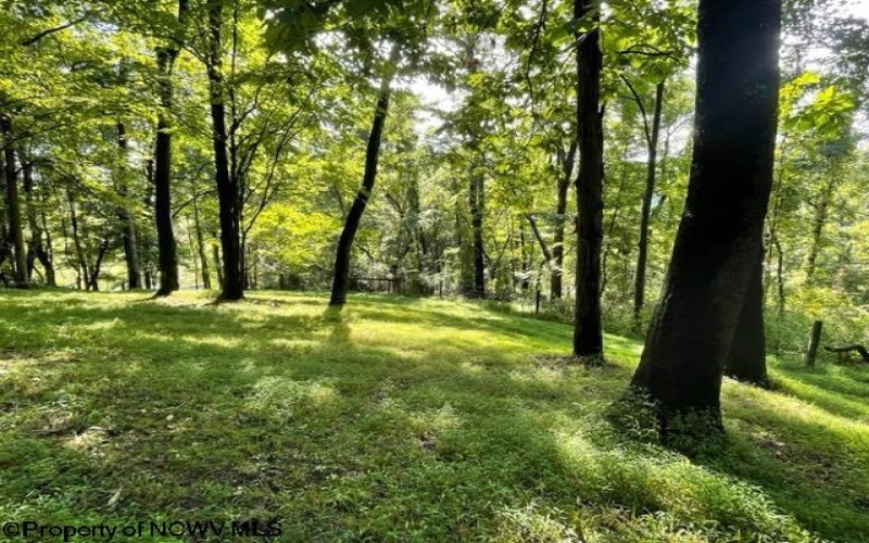 0 Pierpont Road, Morgantown, West Virginia 26508, ,Lots/land,For Sale,Pierpont,10154436