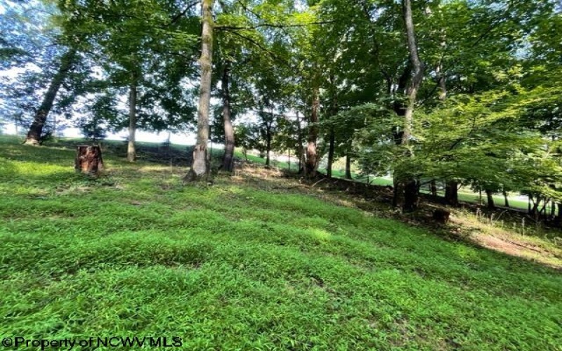 0 Pierpont Road, Morgantown, West Virginia 26508, ,Lots/land,For Sale,Pierpont,10154436